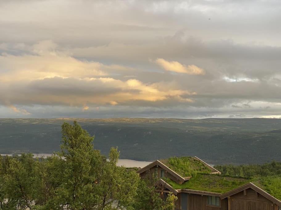 Spacious And Stylish Mountain Lodge - Geilo Eksteriør billede