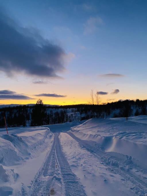 Spacious And Stylish Mountain Lodge - Geilo Eksteriør billede