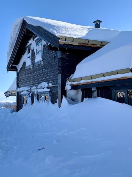 Spacious And Stylish Mountain Lodge - Geilo Eksteriør billede