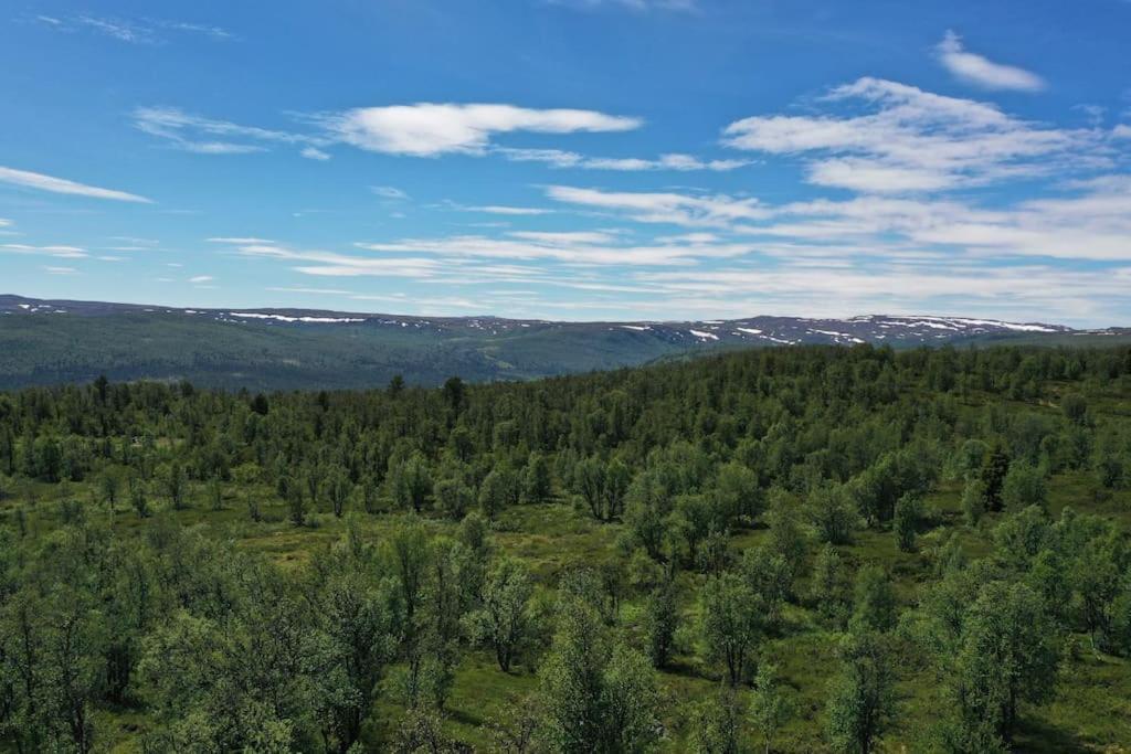 Spacious And Stylish Mountain Lodge - Geilo Eksteriør billede