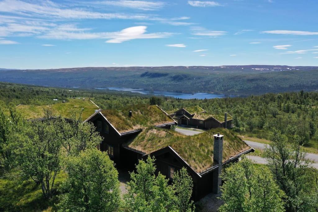 Spacious And Stylish Mountain Lodge - Geilo Eksteriør billede